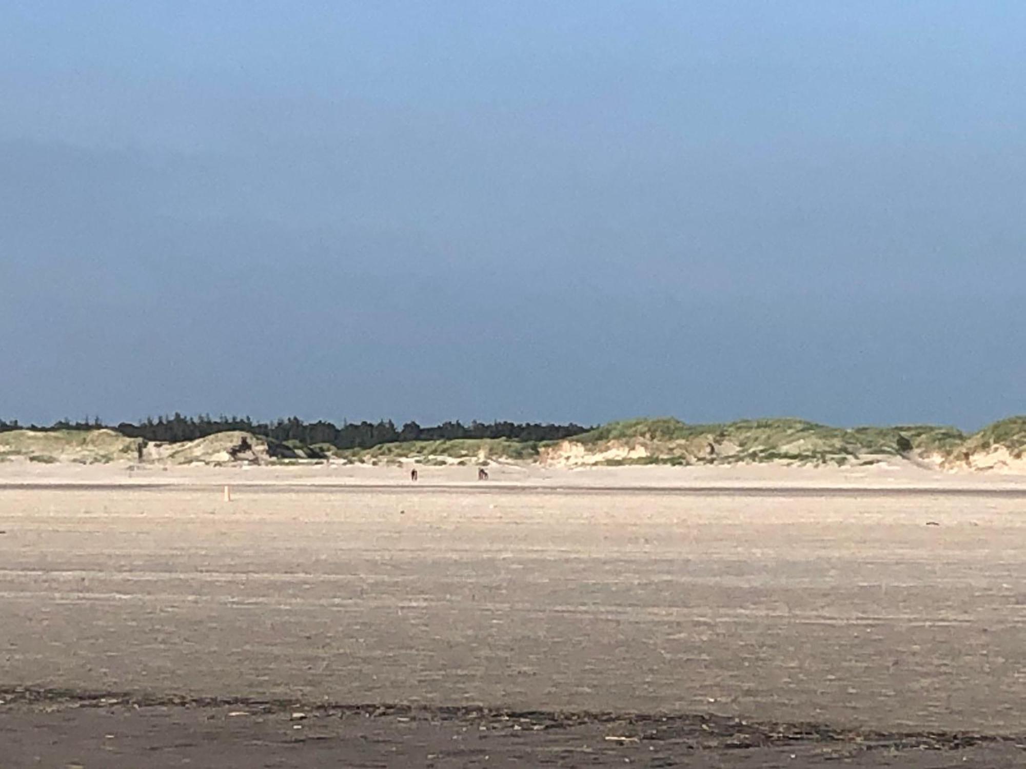 Haubarg Alte Strandvogtei Westerhever Esterno foto