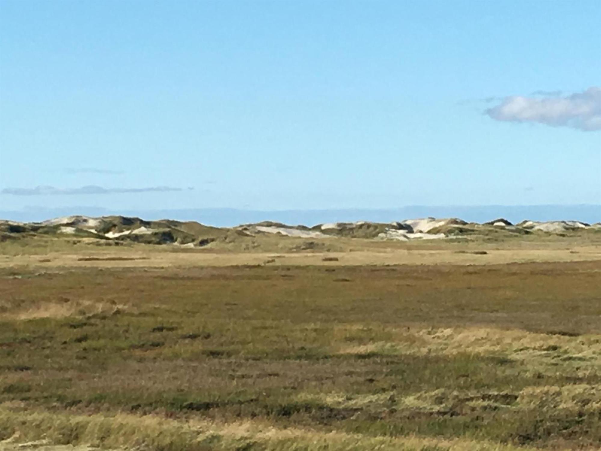 Haubarg Alte Strandvogtei Westerhever Esterno foto